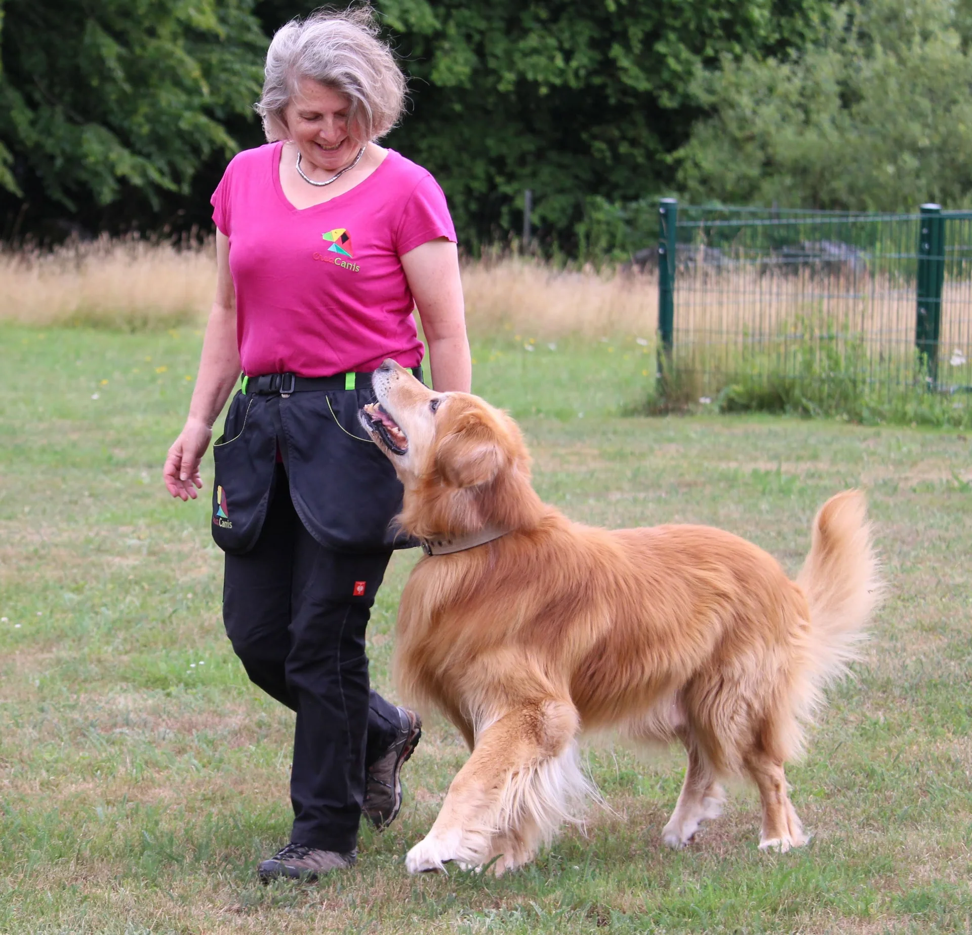 Hund beim Training in der Hundeschule CreaDog in Hamburg-Wandsbek mit Doreen Wacker